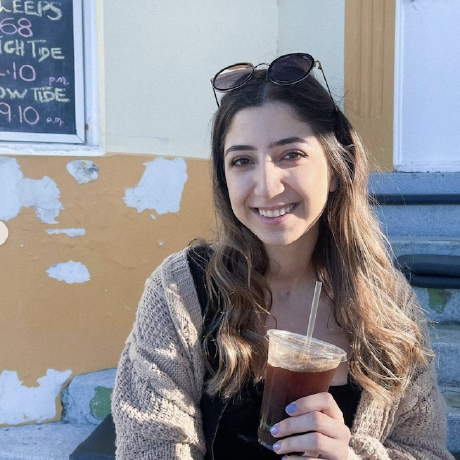 Anna Azzam - Infosoft, Inc.